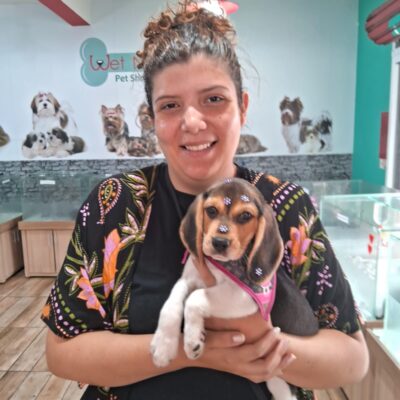 cliente-beagle (10)