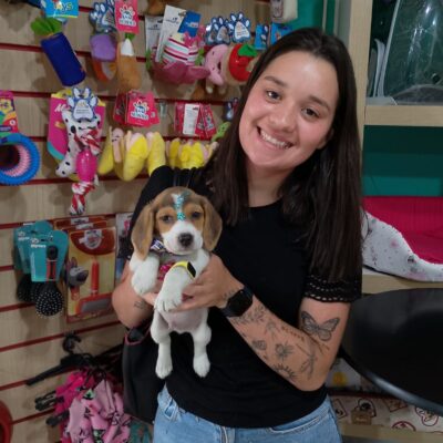 cliente-beagle (11)