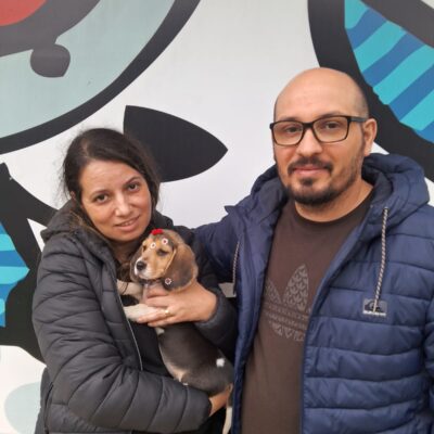 cliente-beagle (2)
