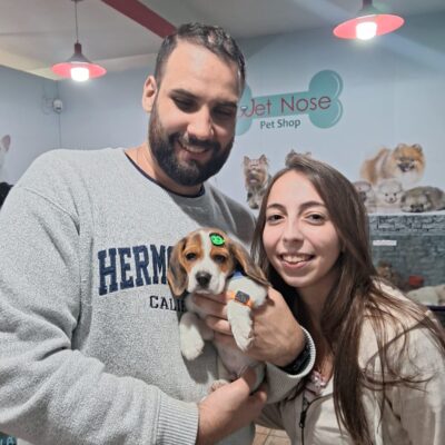 cliente-beagle (5)