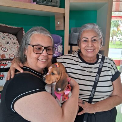 cliente-beagle (7)