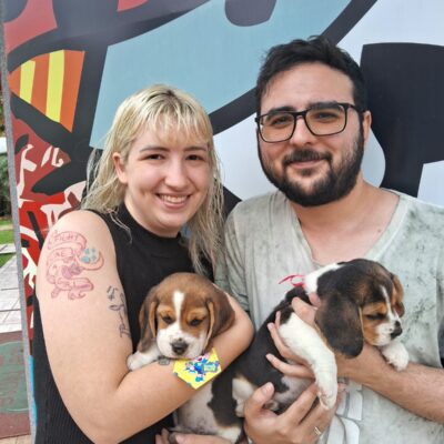 cliente-beagle (9)