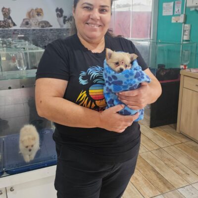 cliente-chihuahua (3)