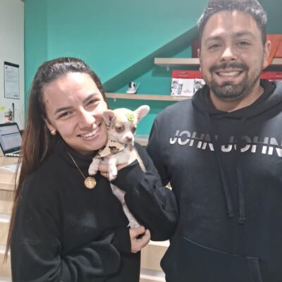 cliente-chihuahua (4)