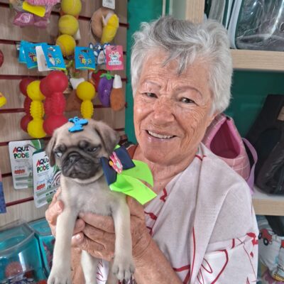 cliente-pug (3)