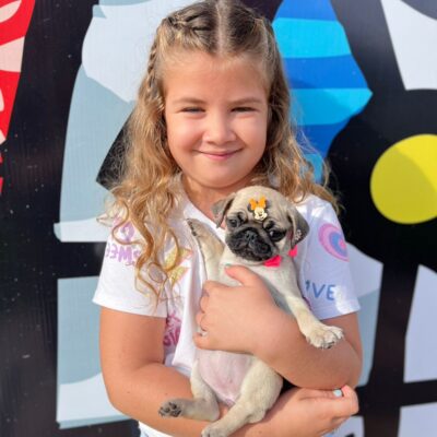 cliente-pug (9)