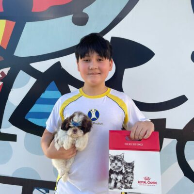 cliente-shihtzu (1)