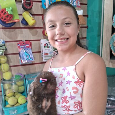 cliente-shihtzu (10)