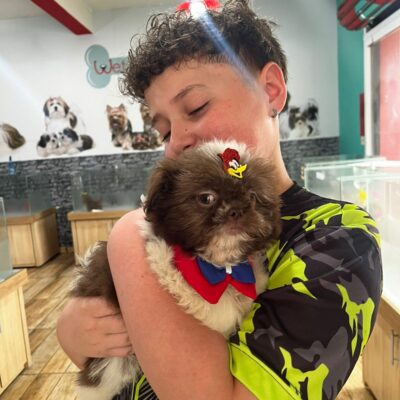 cliente-shihtzu (14)